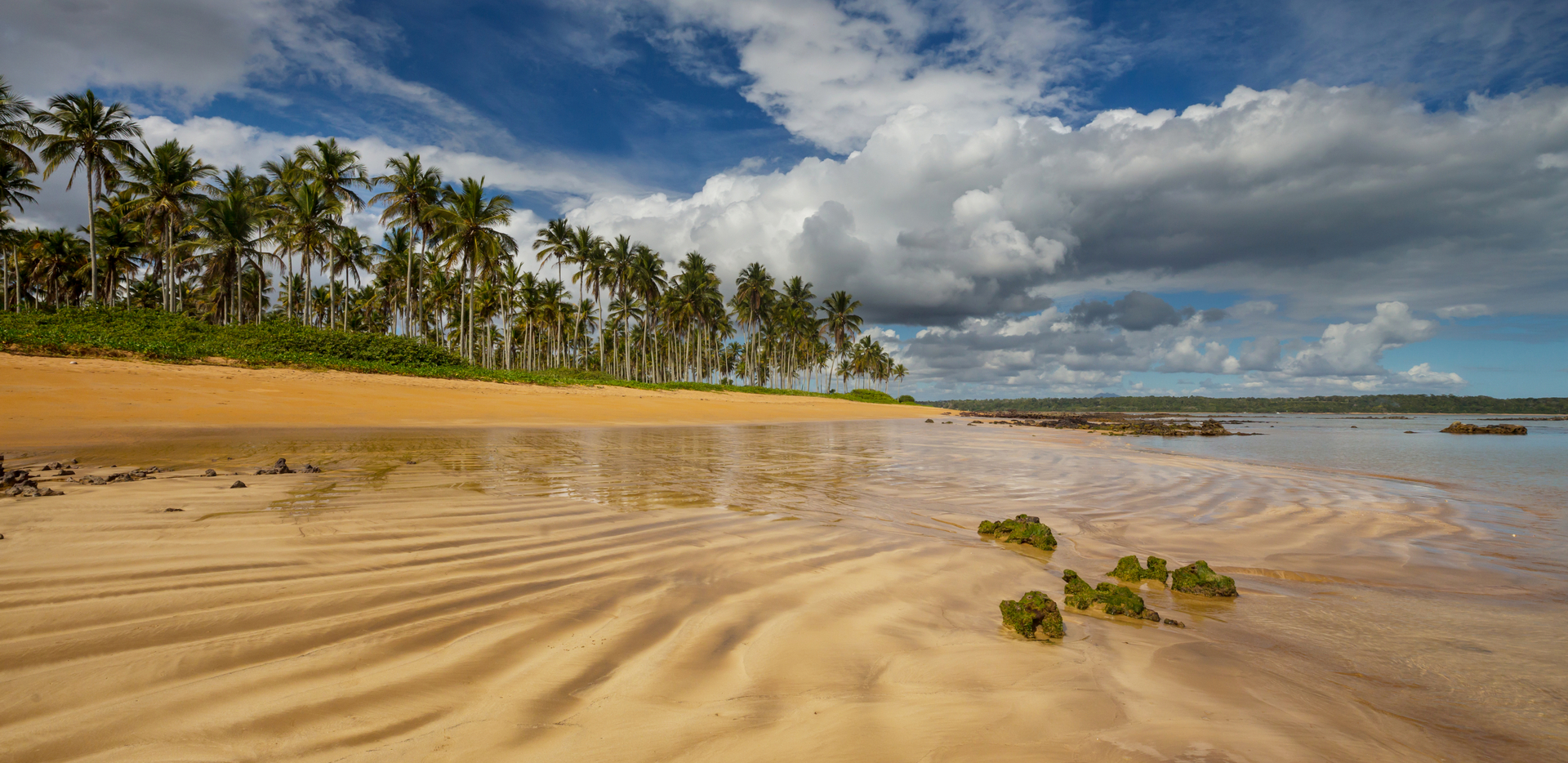 Tropical beach tropical beach 2026 03 17 20 15 07 utc cr
