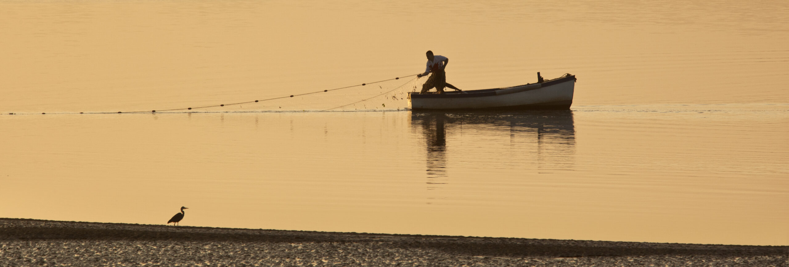 Fishing - Caernarfon - Wales 威尔士渔民 2026 09 24 03 56 14 UTC CR 缩放