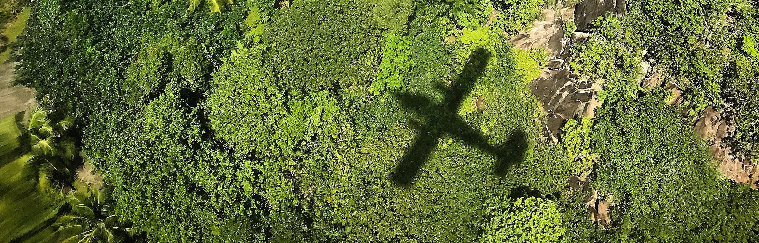 lush-green-forest-canopy-with-airplane-shadow