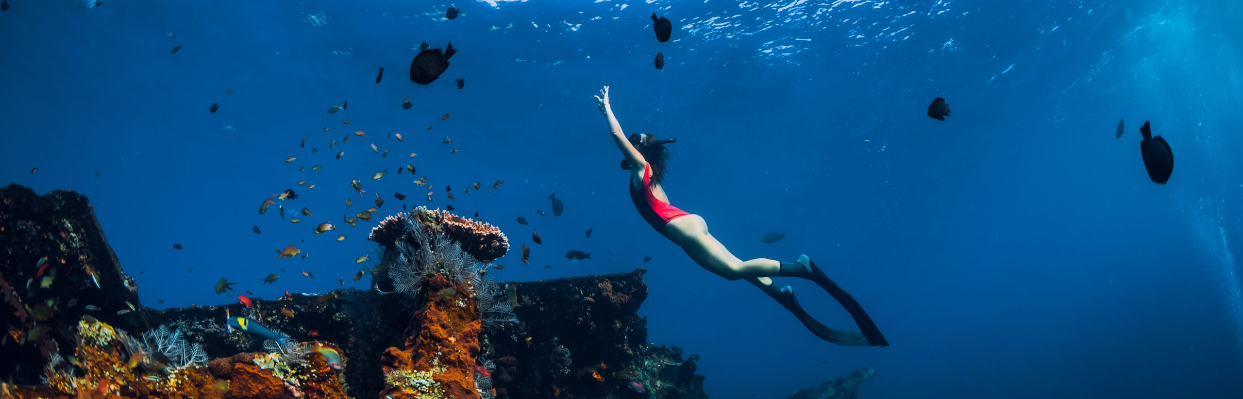 Free diver girl swimming underwater over wreck ship. Free diver girl swimming underwater over wreck ship.