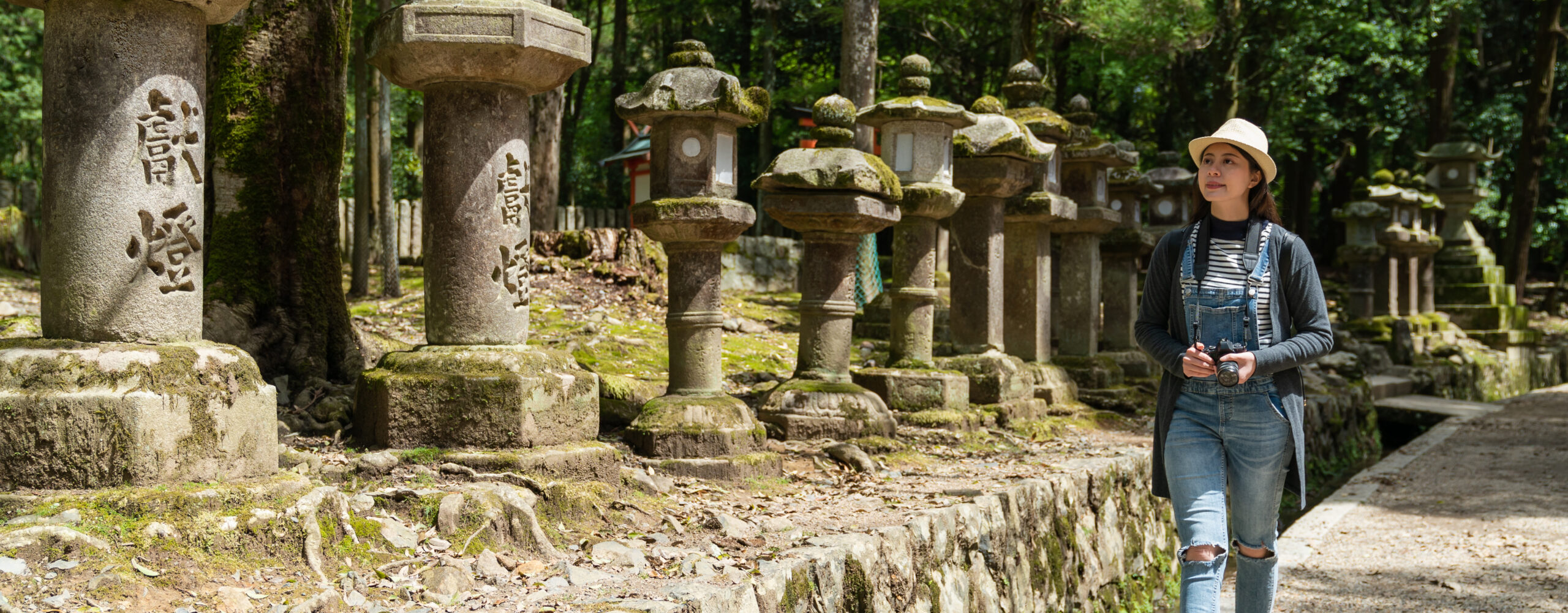 stone lanterns at kasuga Taisha